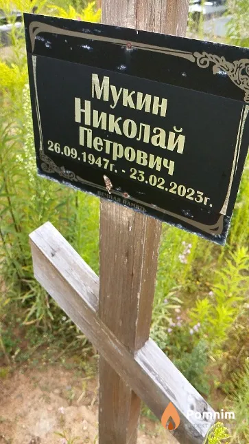 Мукин Николай Петрович