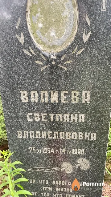 Валиева Светлана Владиславовна