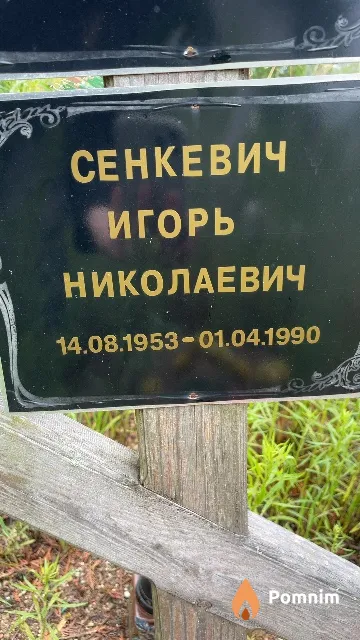 Сенкевич Игорь Николаевич