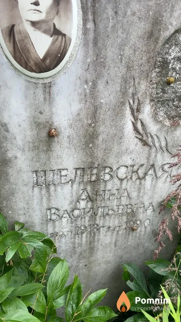 Шелевская Анна Васильевна