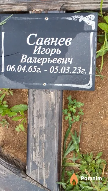 Савнев Игорь Валерьевич