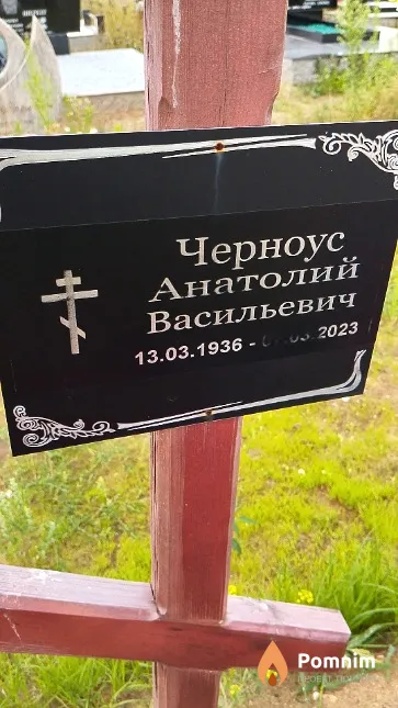 Черноус Анатолий Васильевич