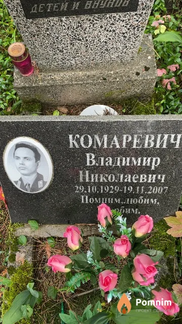 Комаревич Владимир Николаевич