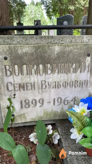 Волковицкий Семен Вульфович