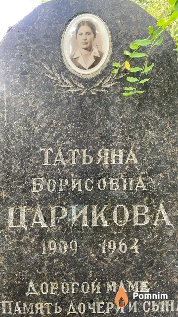 Царикова Татьяна Борисовна