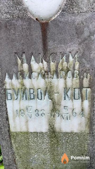 Буйвол-Кот Максим Александрович