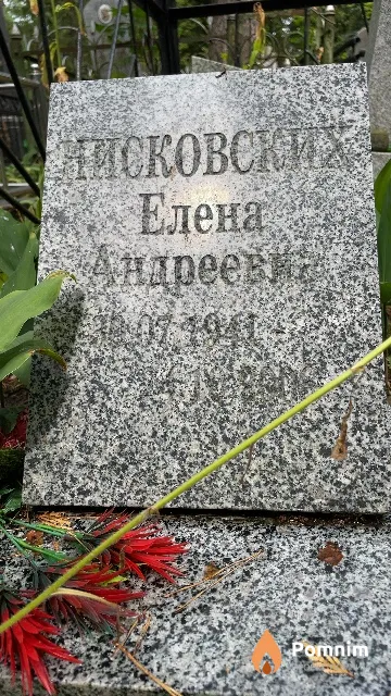 Нисковских Елена Андреевна