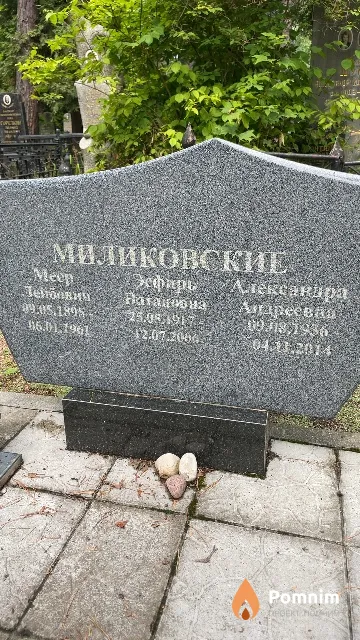 Миликовская Александра Андреевна