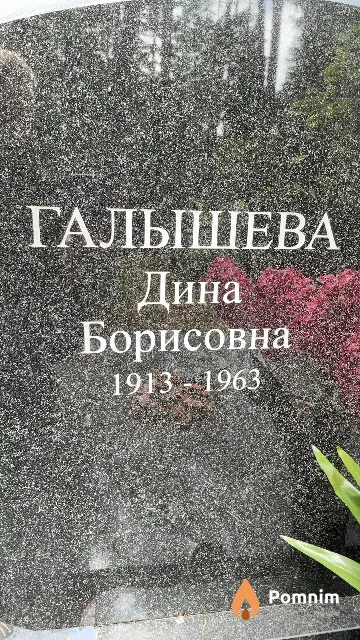 Галышева Дина Борисовна