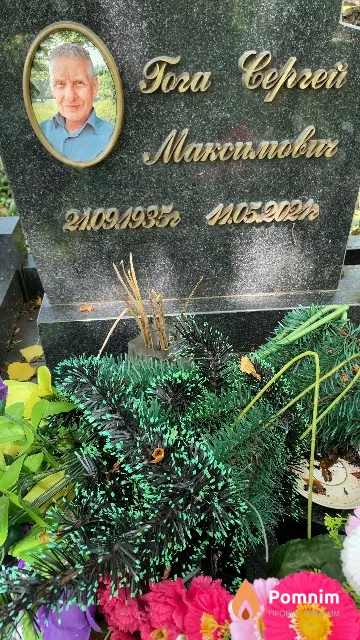 Гога Сергей Максимович