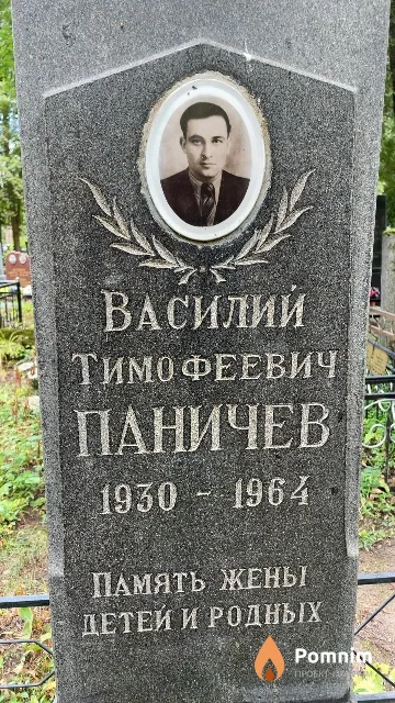 Паничев Василий Тимофеевич
