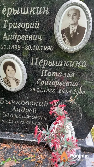Пёрышкина Наталья Григорьевна
