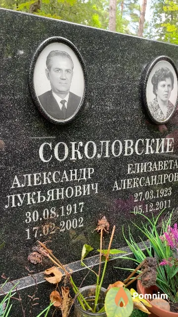 Соколовский Александр Лукьянович