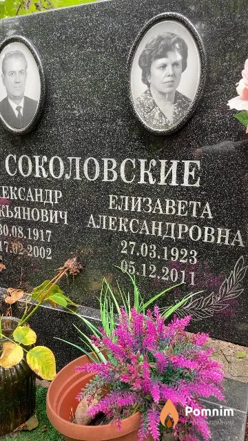 Соколовская Елизавета Александровна