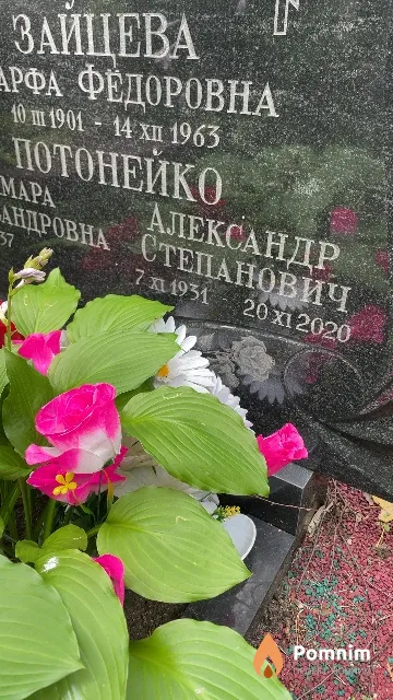 Потонейко Александр Степанович