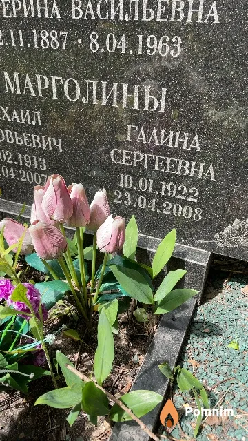 Марголина Галина Сергеевна