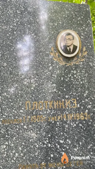 Плоткин И. Э.