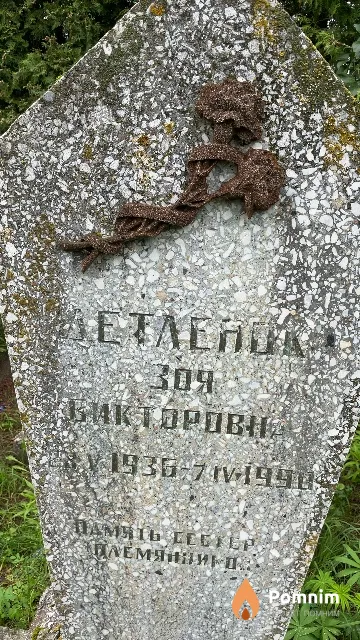 Детленок Зоя Викторовна