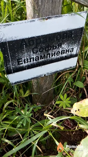 Абрамова Софья Евлампиевна