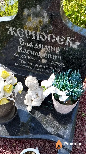 Жерносек Владимир Васильевич
