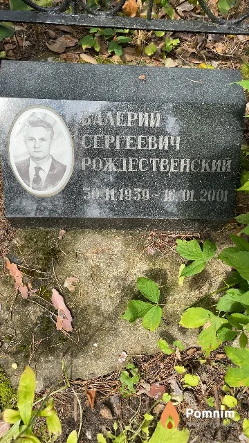 Рождественский Валерий Сергеевич
