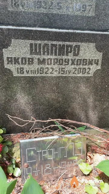 Шапиро Яков Мордухович