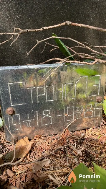 Стронг Л. Э.