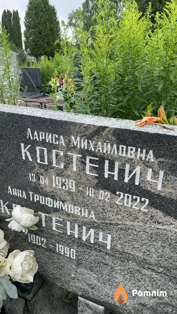 Костенич Лариса Михайловна