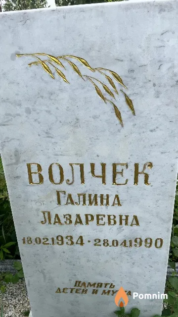 Волчек Галина Лазаревна