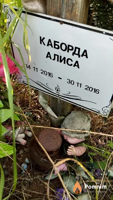 Каборда Алиса