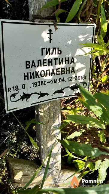 Гиль Валентина Николаевна