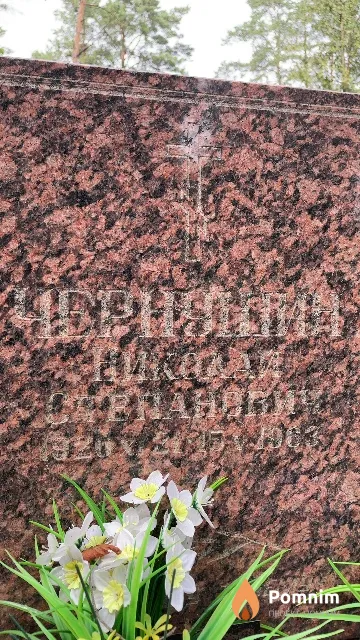 Чернушин Николай Степанович