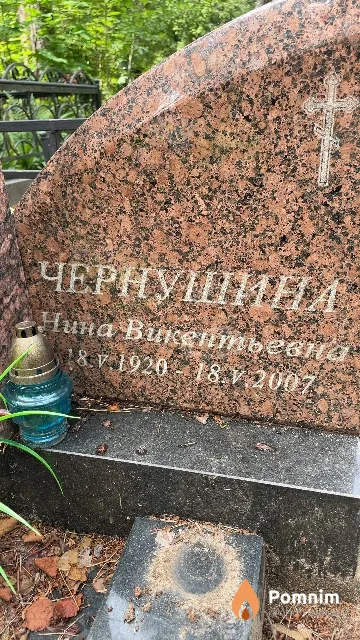 Чернушина Нина Викентьевна