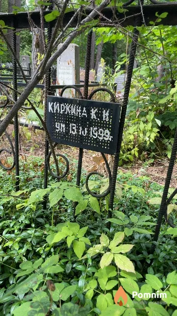 Киркина К. И.