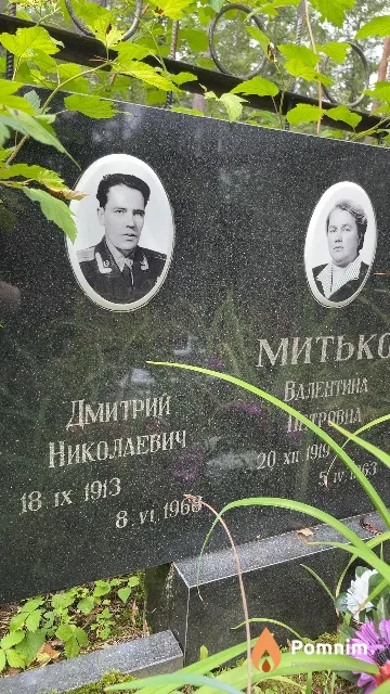 Митько Дмитрий Николаевич