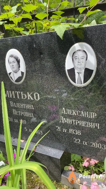 Митько Александр Дмитриевич