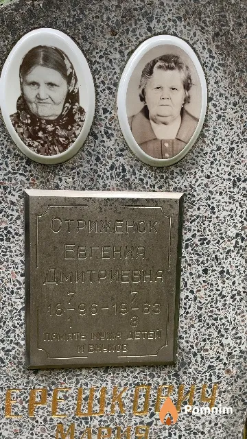 Стриженок Евгения Дмитриевня