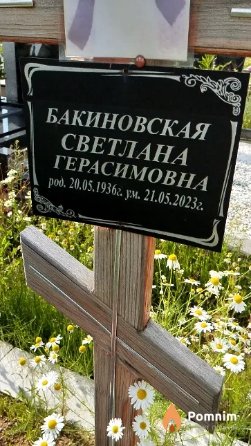 Бакиновская Светлана Герасимовна