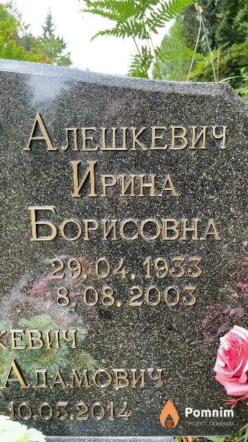 Алешкевич Ирина Борисовна