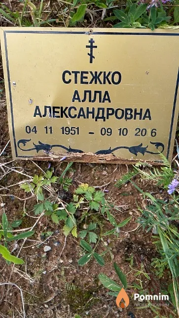 Стежко Алла Александровна