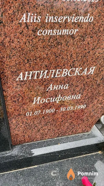 Антилевская Анна Иосифовна
