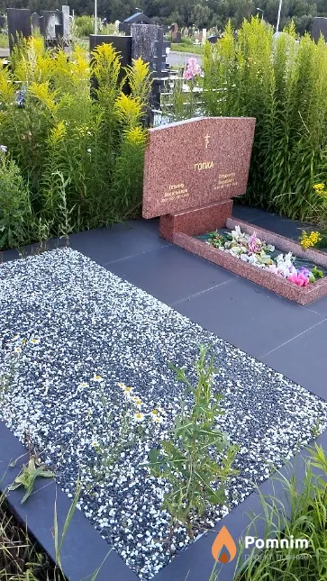 Гопка Владимир Маркович