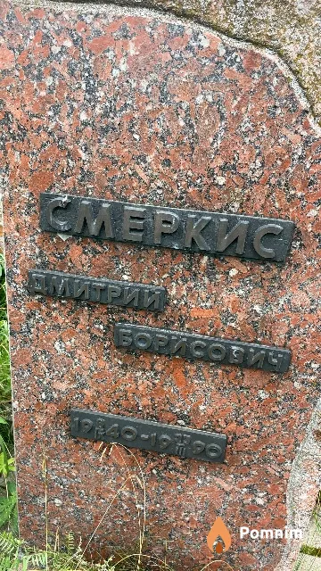 Смеркис Дмитрий Борисович