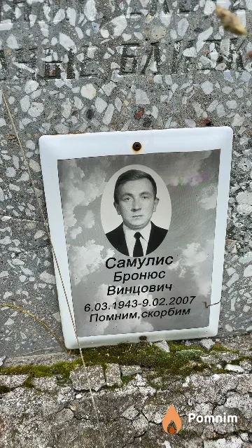 Самулис Бронюс Винцович