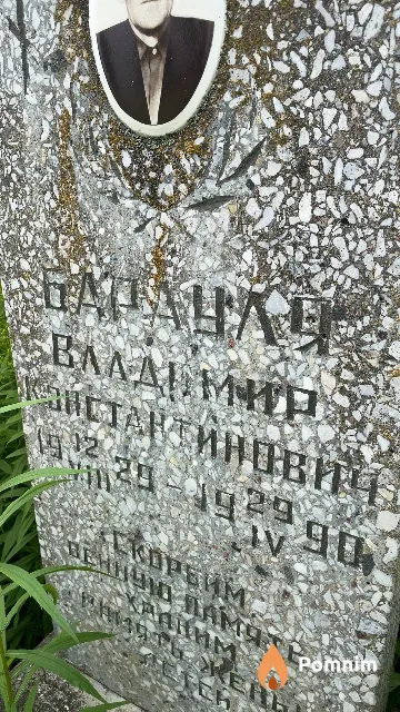 Брауля Владимир Константинович