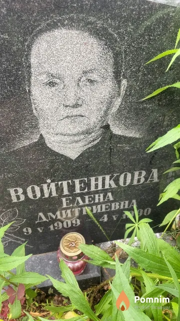 Войтенкова Елена Дмитриевна