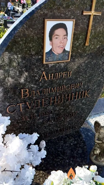 Студеничник Андрей Владимирович