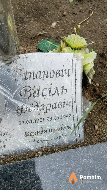 Топанович Василий Фёдорович