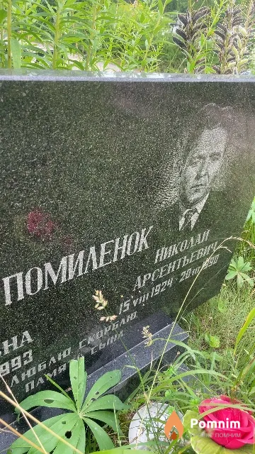 Помиленок Николай Арсентьевич