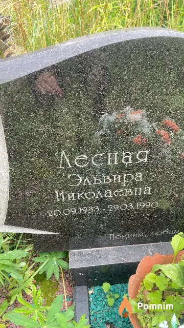 Лесная Эльвира Николаевна
